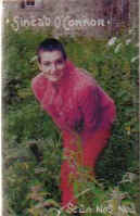 sean_nos_tape.jpg (14457 bytes)