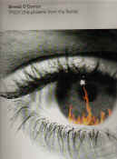 troy_2x12.jpg (72911 bytes)